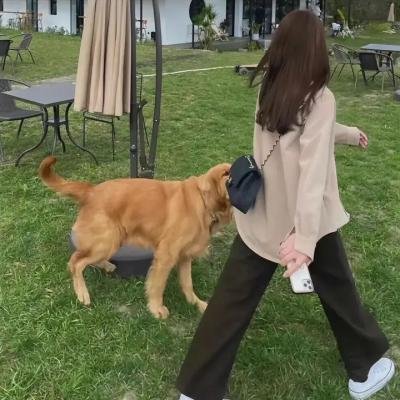 封面女郎